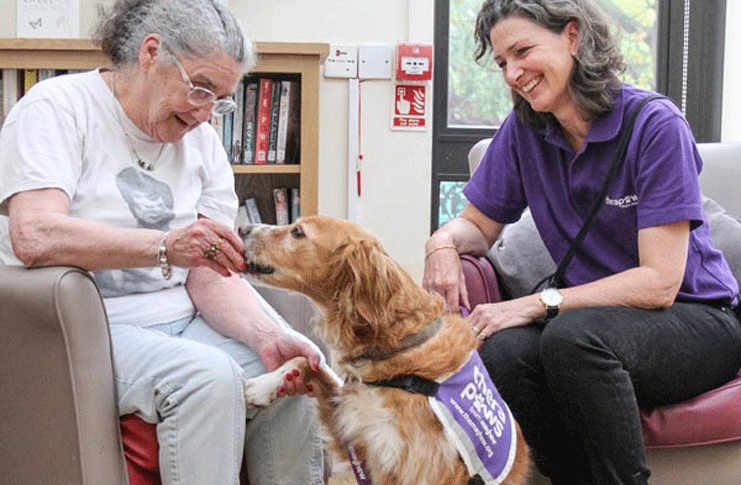 Therapy Dog with a resident
